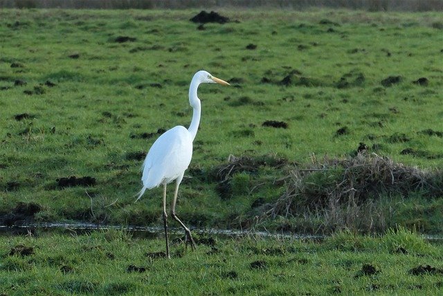 Foto bij stikstofhaven