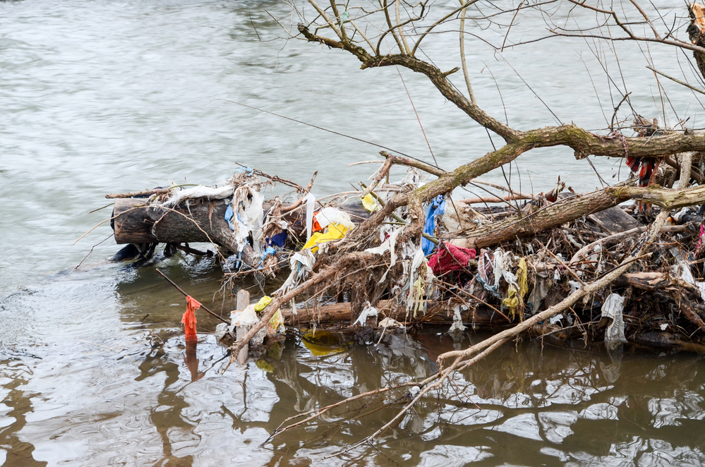 Depositphotos_333704444_s-2019-36e2d907
