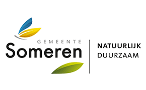 RegioEffect - Mr. Online