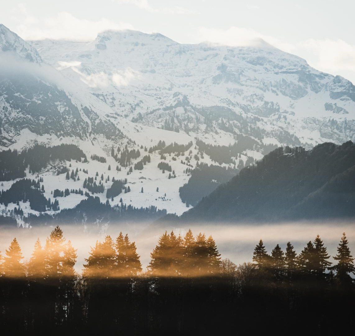 De AI-schaamte voorbij - Mr. Online