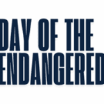 Dag van de bedreigde advocaat richt zich in 2026 op de Verenigde Staten - Mr. Online