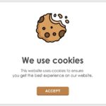 Pels Rijcken oneens over onderzoek BNR Radio over plaatsen van cookies - Mr. Online
