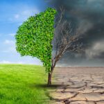 Mensenrechtencollege wil meer aandacht voor mensenrechten bij klimaataanpak - Mr. Online