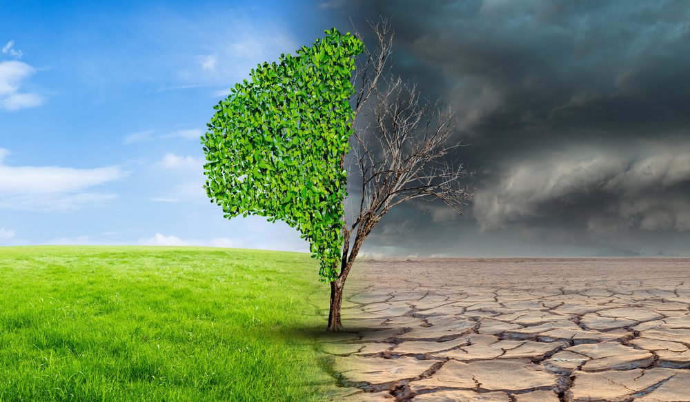 Mensenrechtencollege wil meer aandacht voor mensenrechten bij klimaataanpak - Mr. Online
