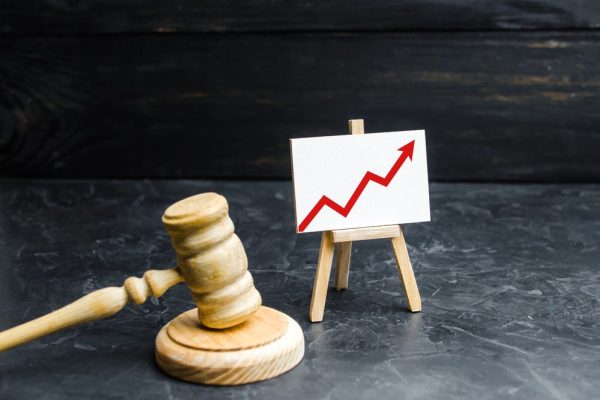 Aangepaste grondwet moet landelijk dekkend stelsel rechtsbijstand bieden - Mr. Online