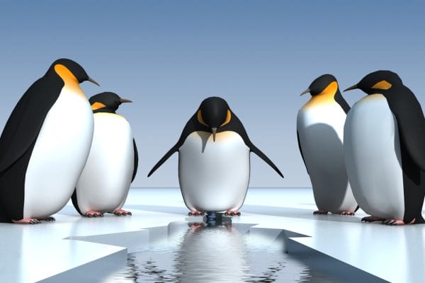 Fun penguins