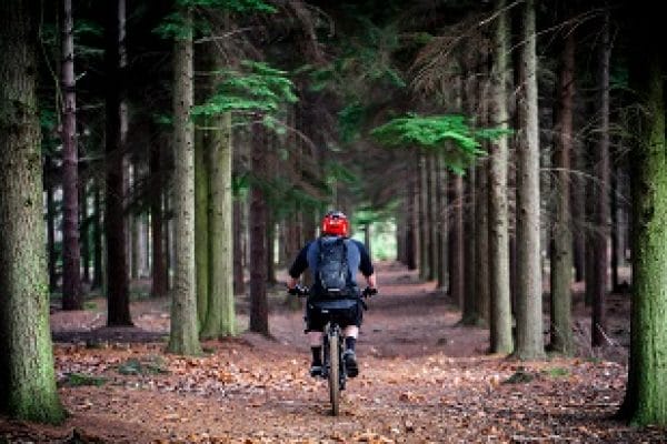 Photo by Carl Winterbourne on Unsplash