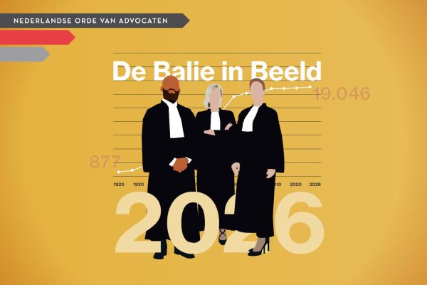 Balie blijft maar groeien, op sociale advocatuur na - Mr. Online