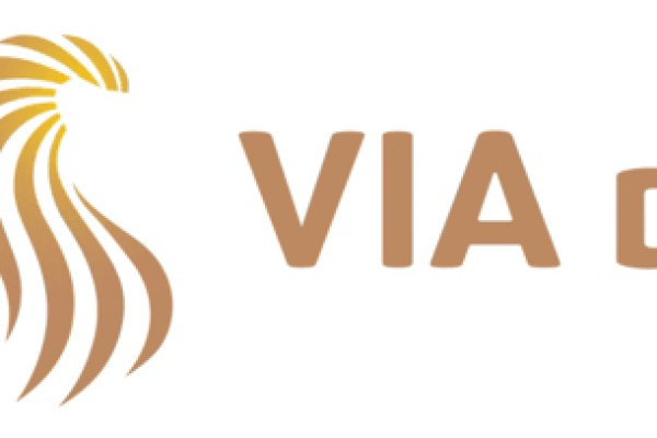 Combilogo Bij12-VIA de Leeuw