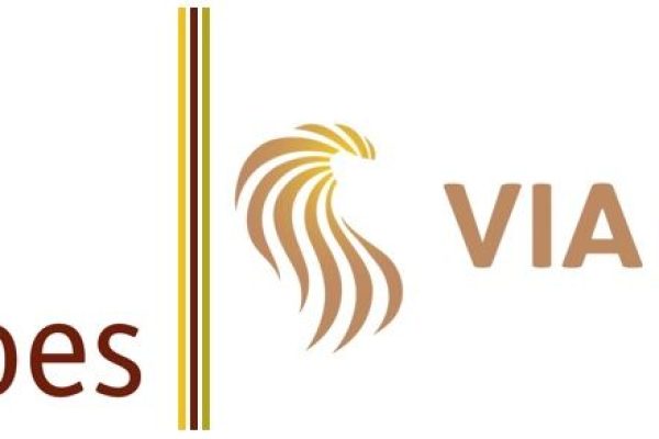 Combilogo Goes-VIA de Leeuw