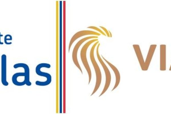 Combilogo Zuidplas-VIA de Leeuw (1)