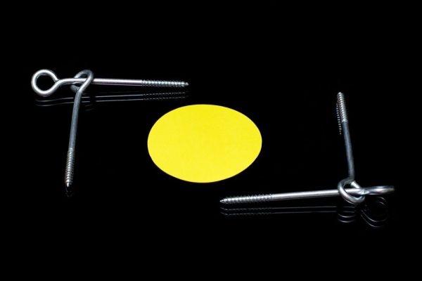 beeld: Depositphotos