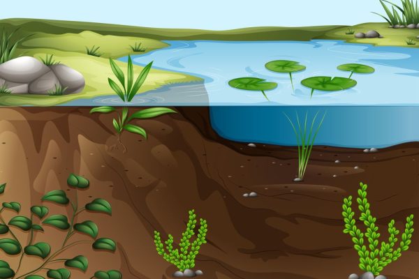 beeld: Depositphotos