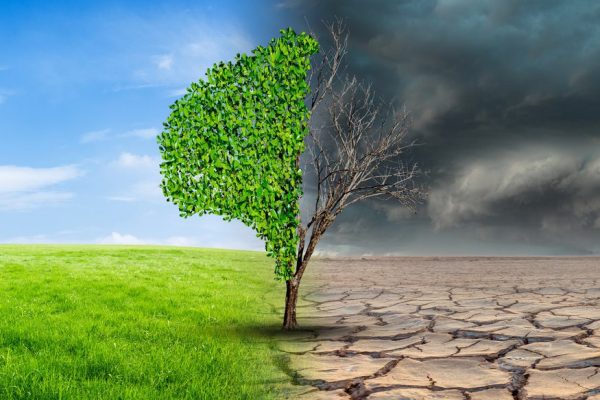 Mensenrechtencollege wil meer aandacht voor mensenrechten bij klimaataanpak - Mr. Online