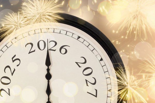 Snellere behandeling wraking, mailen met overheid, naaktkatverbod: nieuwe wetten en regels in 2026 - Mr. Online