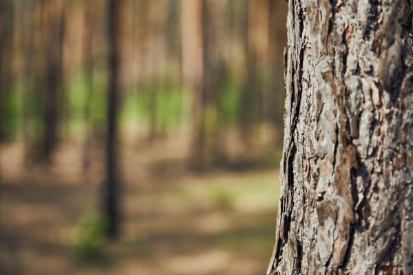 beeld: Depositphotos