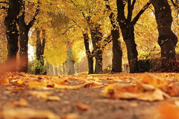 Herfst start met boeteregen