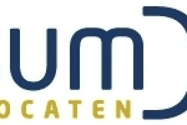 AssumDelft Advocaten N.V. - Mr. Online