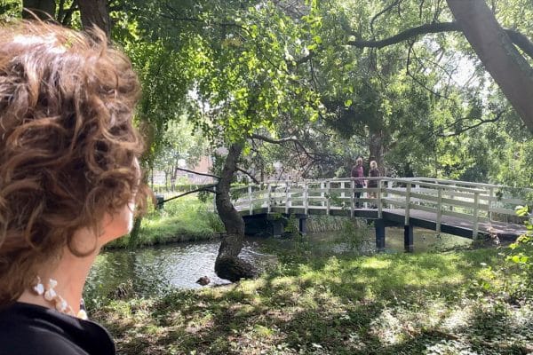 Systemische invloeden aan de mediationtafel