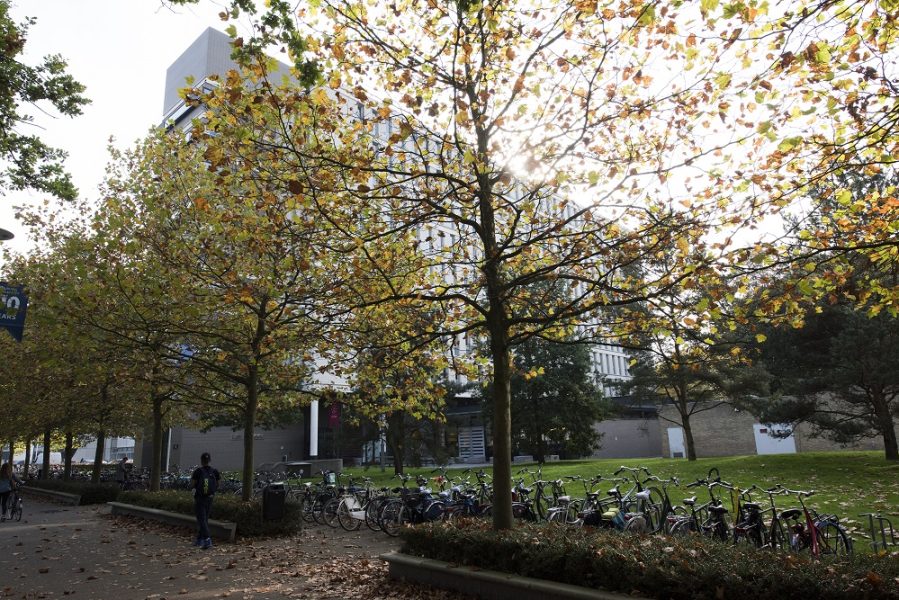 (foto: Chris van Houts)