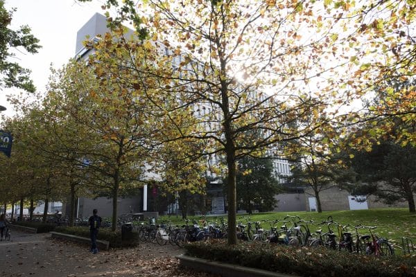 (foto: Chris van Houts)