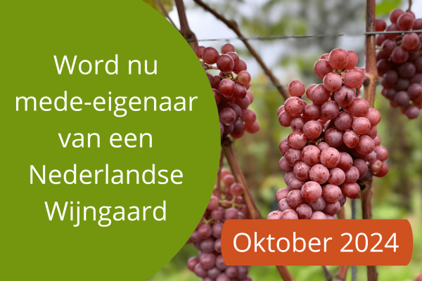 Word nu mede-eigenaar van een Nederlandse Wijngaard