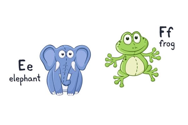 You can say it's a frog, but if it is grey and has a trumpet, it's an elephant