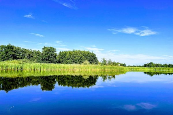 artikel_1787_afbeelding