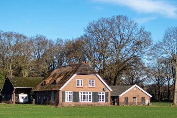 artikel_9339_afbeelding