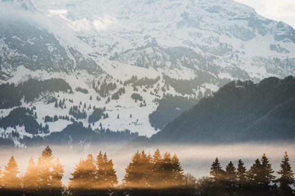 De AI-schaamte voorbij - Mr. Online