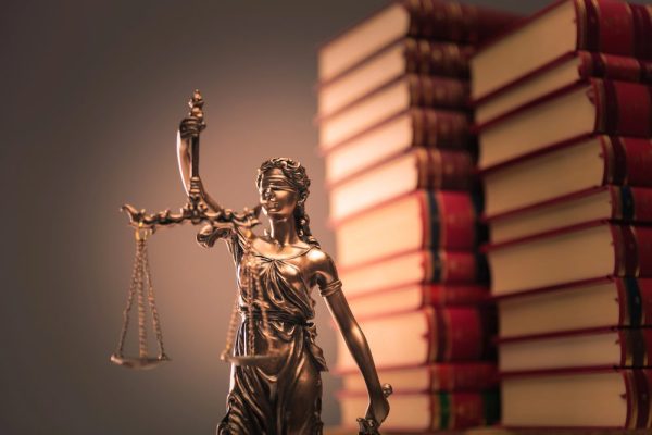 Staat van de wetgeving 2026: Nederland ‘regelt zichzelf vast’ - Mr. Online
