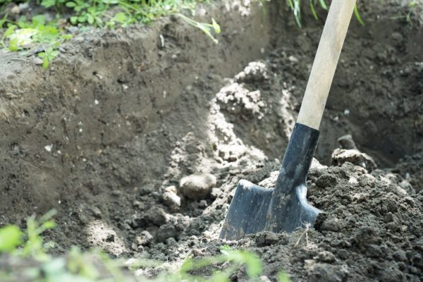 beeld: Depositphotos