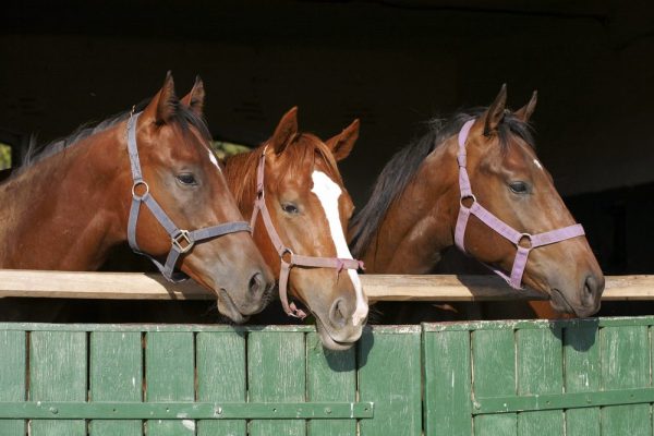 beeld: Depositphotos