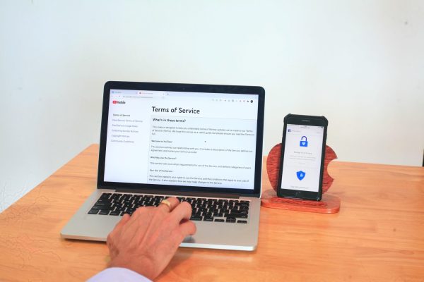 sergeitokmakov-terms-7010187